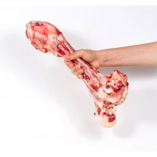 Raw Bone Large
