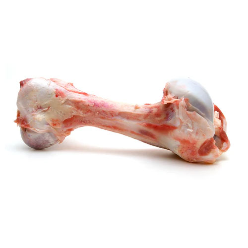 Raw Bone Medium